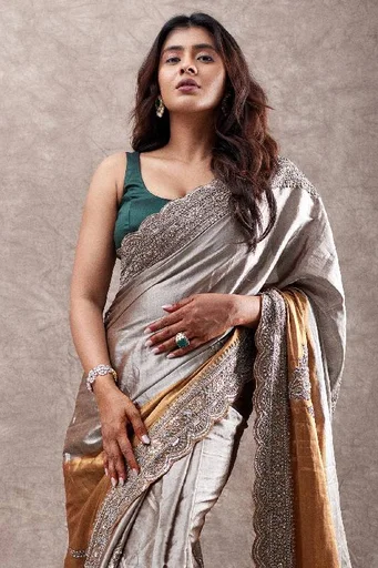 Gold & Taupe Zardosi Embroidered Saree