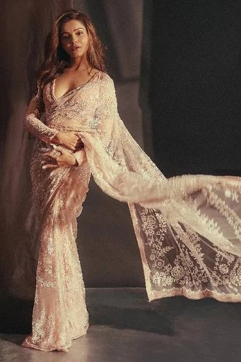 Sequins Embroidered Net Saree