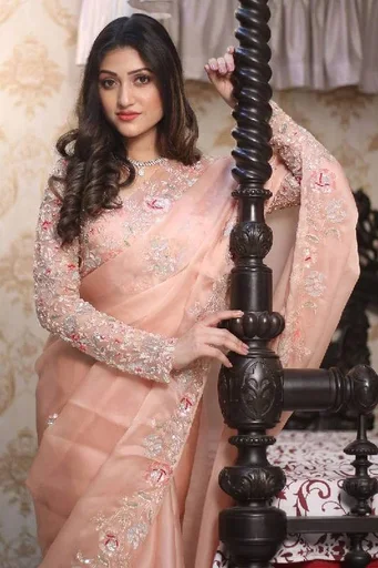 Rose Pink Sequins Embroidered Organza Saree