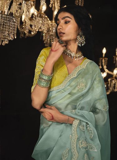 Soft Tabby Organza designer saree | Code AS252 ktt