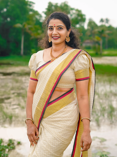 Premium check color border saree handloom replica | Code TS108 kbb