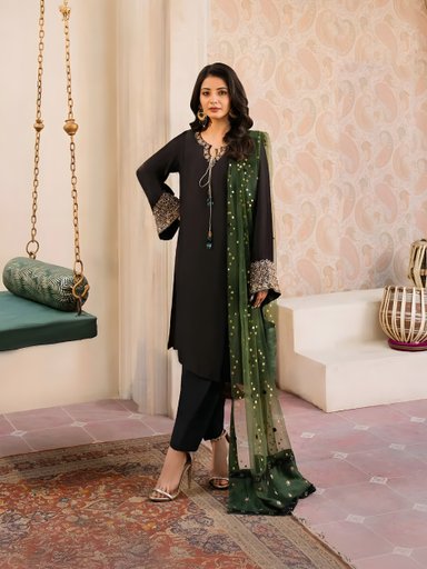 Beautiful FRENCH CREPE kurti set | Code D255 GR