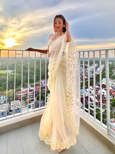 PURE AND LIGHT ORGANZA THREAD WORK SAREE | Code AS577 GH