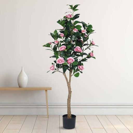 Camellia