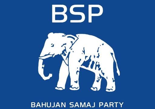 BSP | Flages | Caps | T-Shirts | Towels | Bunting | Stickers | Badges | Fancy Items