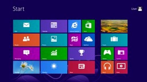 Windows 8 (64 Bit)