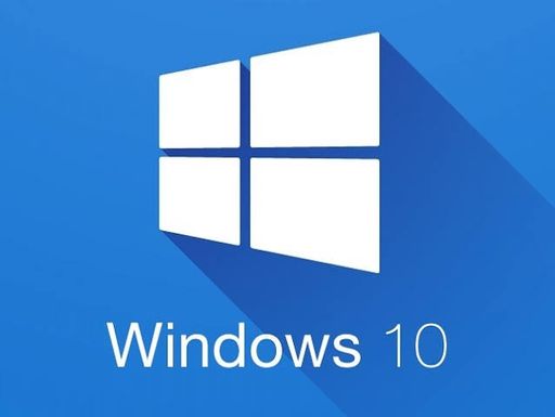 Windows 10 (64 Bit)