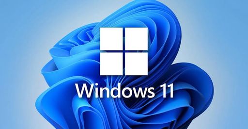 Windows 11 (64 Bit)