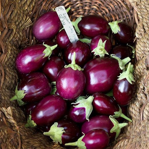  Began samll 500g