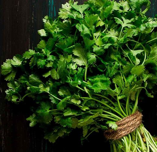 Coriander/Dhaniya Small