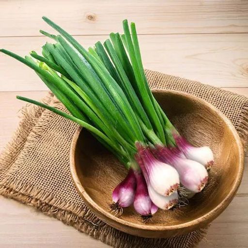Spring Onion big