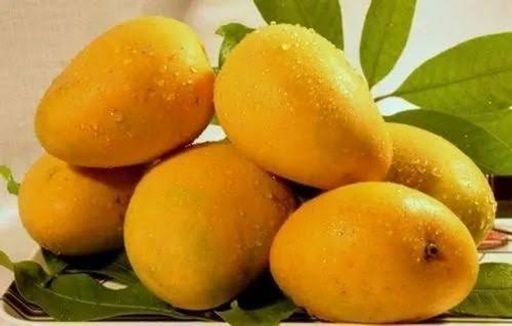 Kesar Mango 1kg
