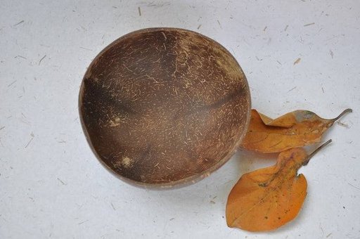 Natural Coconut Bowl