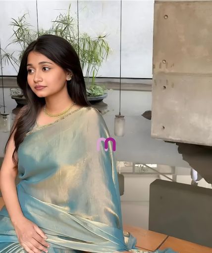 Chifforn Fendy Two Tone Saree* Rich Chfforn Fendy Soft Fabric Alpng With Beads Hand Work Rich Border Look Rich