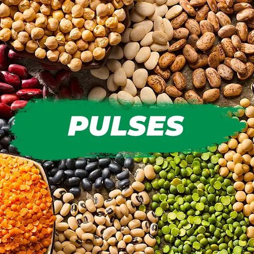 PULSES