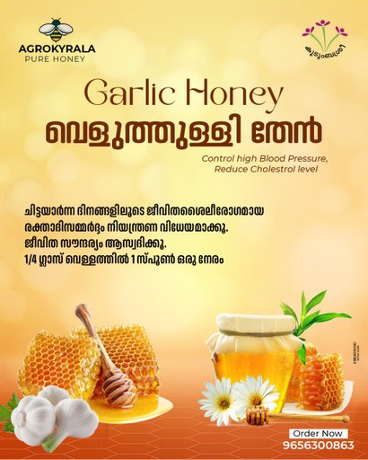 Garlic Honey 250 gm