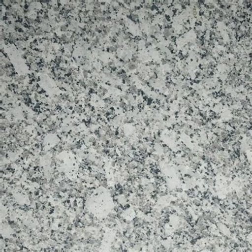 Moon White 