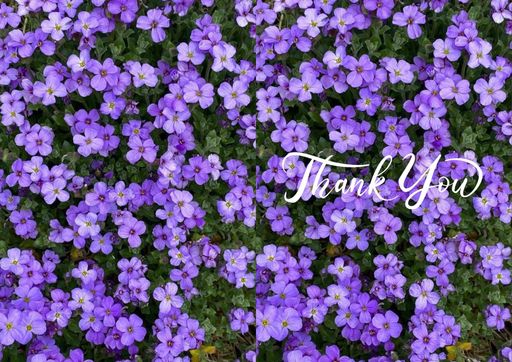 Thankyou greeting card - card no 00911
