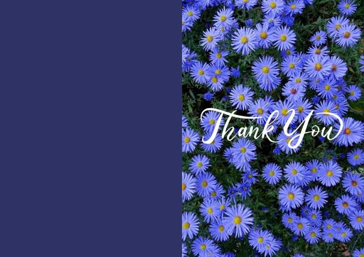 Thankyou greeting card - card no 501883