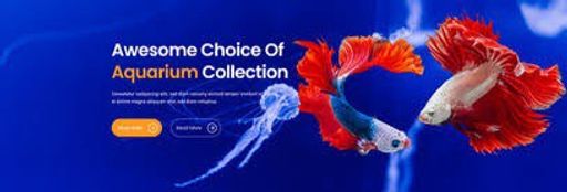 "Dive into a World of Color: Find Your Perfect Fish and Aquarium Right Here!"