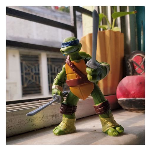 Ninja Turtle 1 