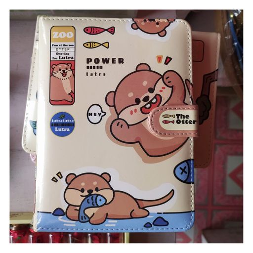 The Otter Diary 