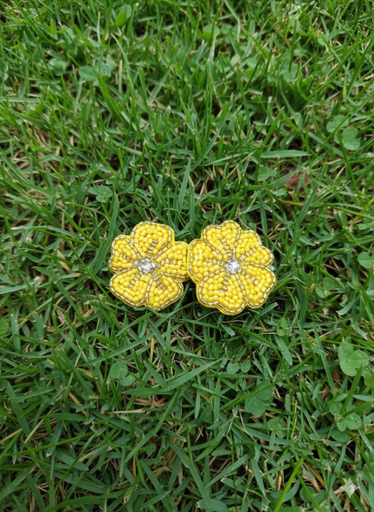 earings