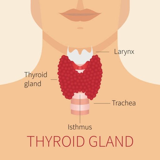 THYROID HEALTH & CLINIC