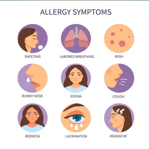 ALLERGY HEALTH & CLINIC