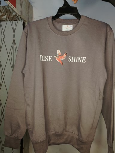 Unisex Grey "Rise Shine" Graphic Sweatshirt, Casual Crewneck Pullover with Bird Design