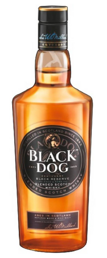 BLACK DOG 