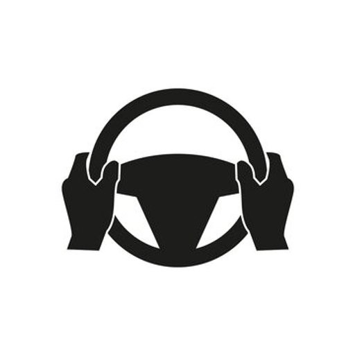 Gaming Wheel 