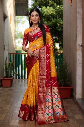 ISHANI BANDHEJ 