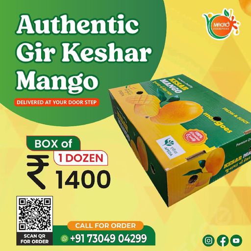 Authentic Gir Kesar Mango