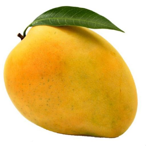 Delighted mangoes