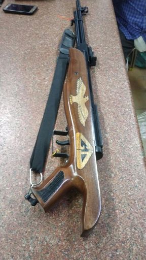 GD EAGLE BROWN