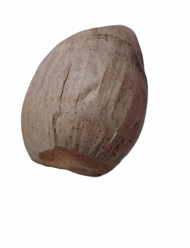 Shriphal Nariyal / Patel Nariyal for Jalparwah – Pure Coconut for Pooja & Rituals by The Pujamart