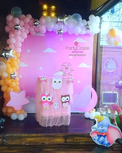 Baby Owl Theme