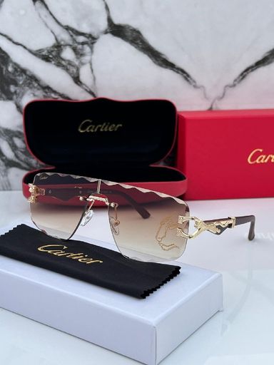 Cartier Men's Sunglasses 