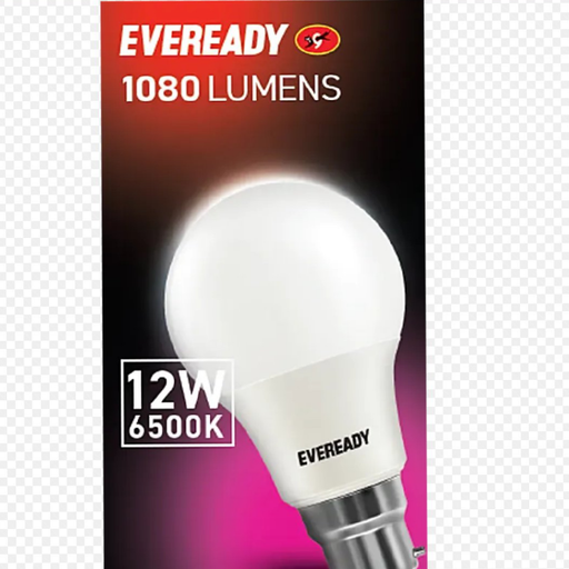 Everyday LED Bulb 