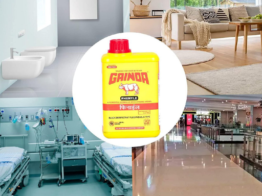 Gainda Professional Floor Cleaner Phenyle, 1ltr