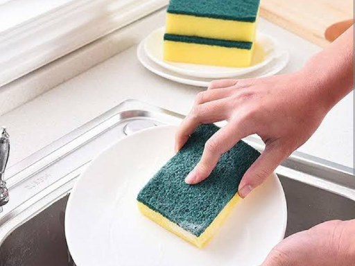 Dish scrub with Sponge 