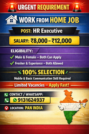 Work From Home Hr Executive 