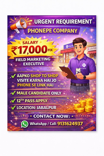 PHONEPE JOB SALRY 17000 FIX