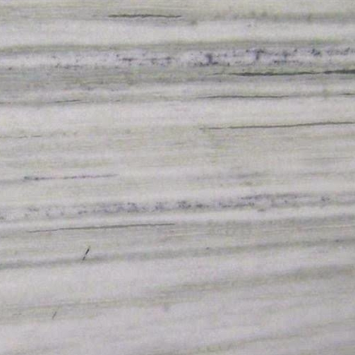 Aarna White Marble Slabs For Flooring And Wall