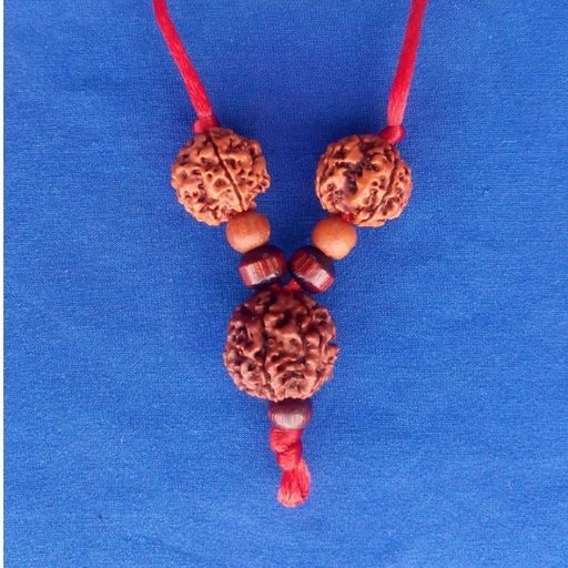 Saraswati Rudraksha Kavach For Students