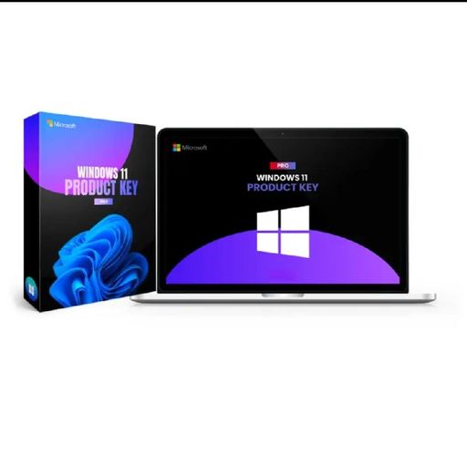 Windows 11 Pro | Activation Key