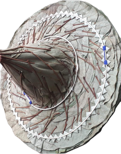 Adivasi Gugu Topi