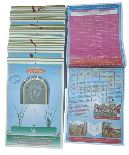 Ho Calander Lita Gorgonid