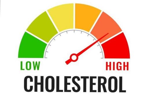 Cholestrol Test